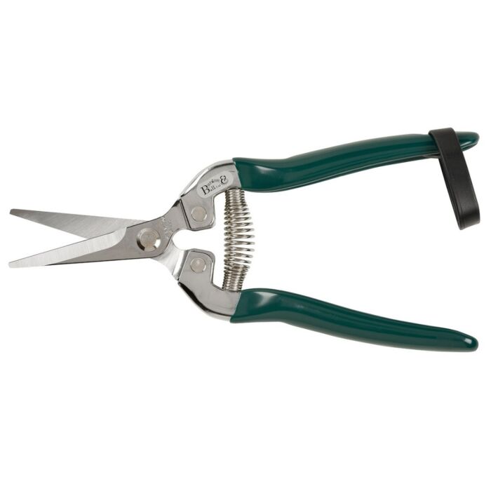 Burgon & Ball Flower & Fruit Snip - RHS Endorsed0